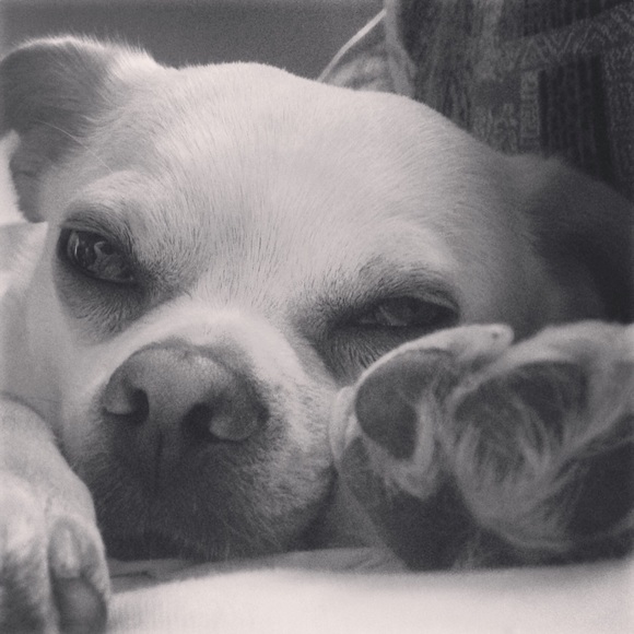 Meet your Posher, Pam - Picture 2 of 2